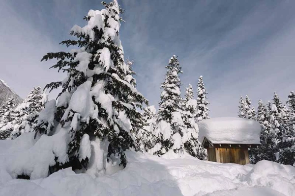 couverture de l'album